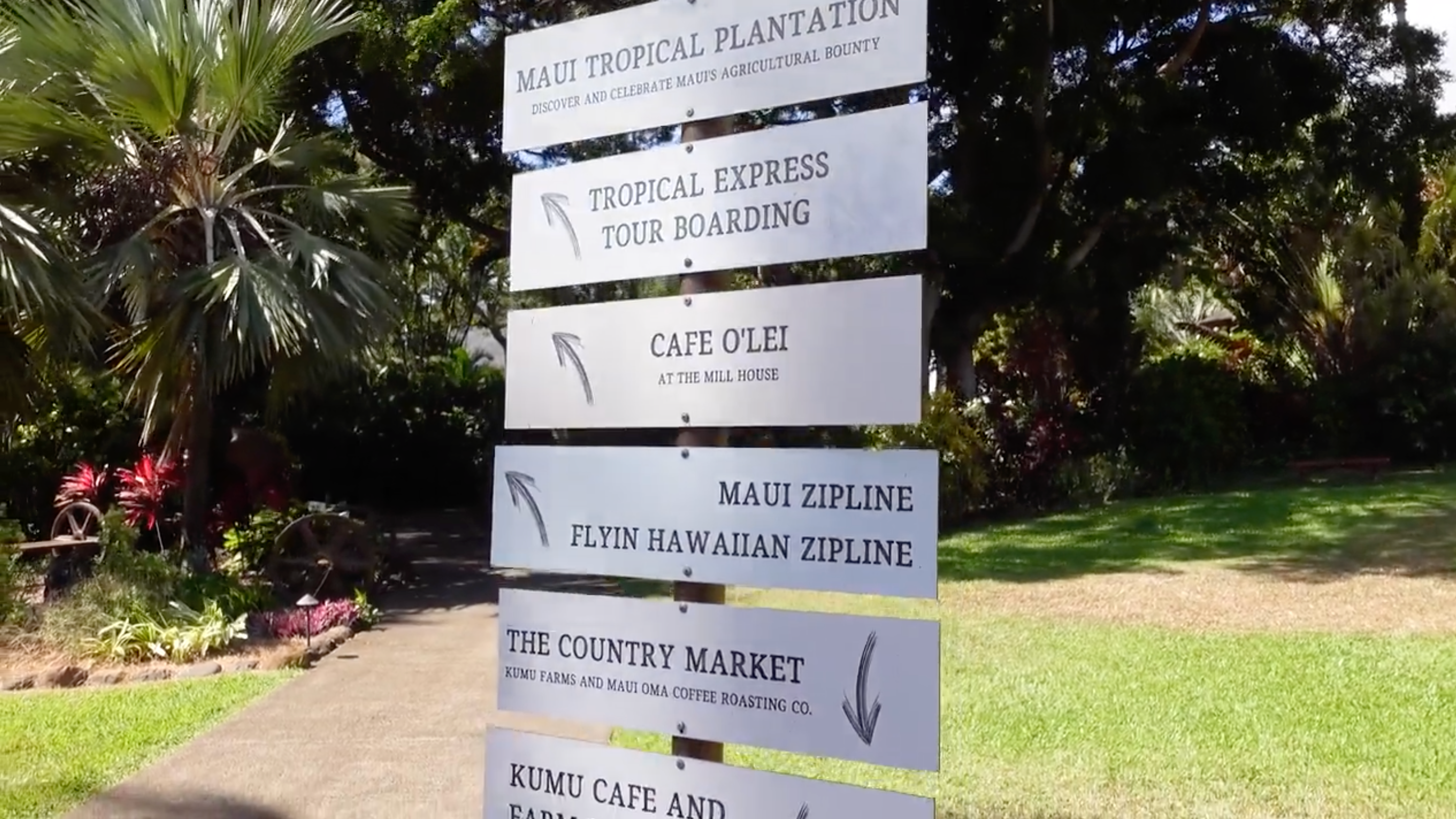 Aktivitäten auf Maui | OluKai
