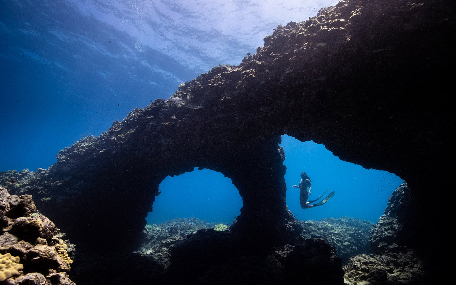 Dive With Kimi - OluKai x Four Seasons