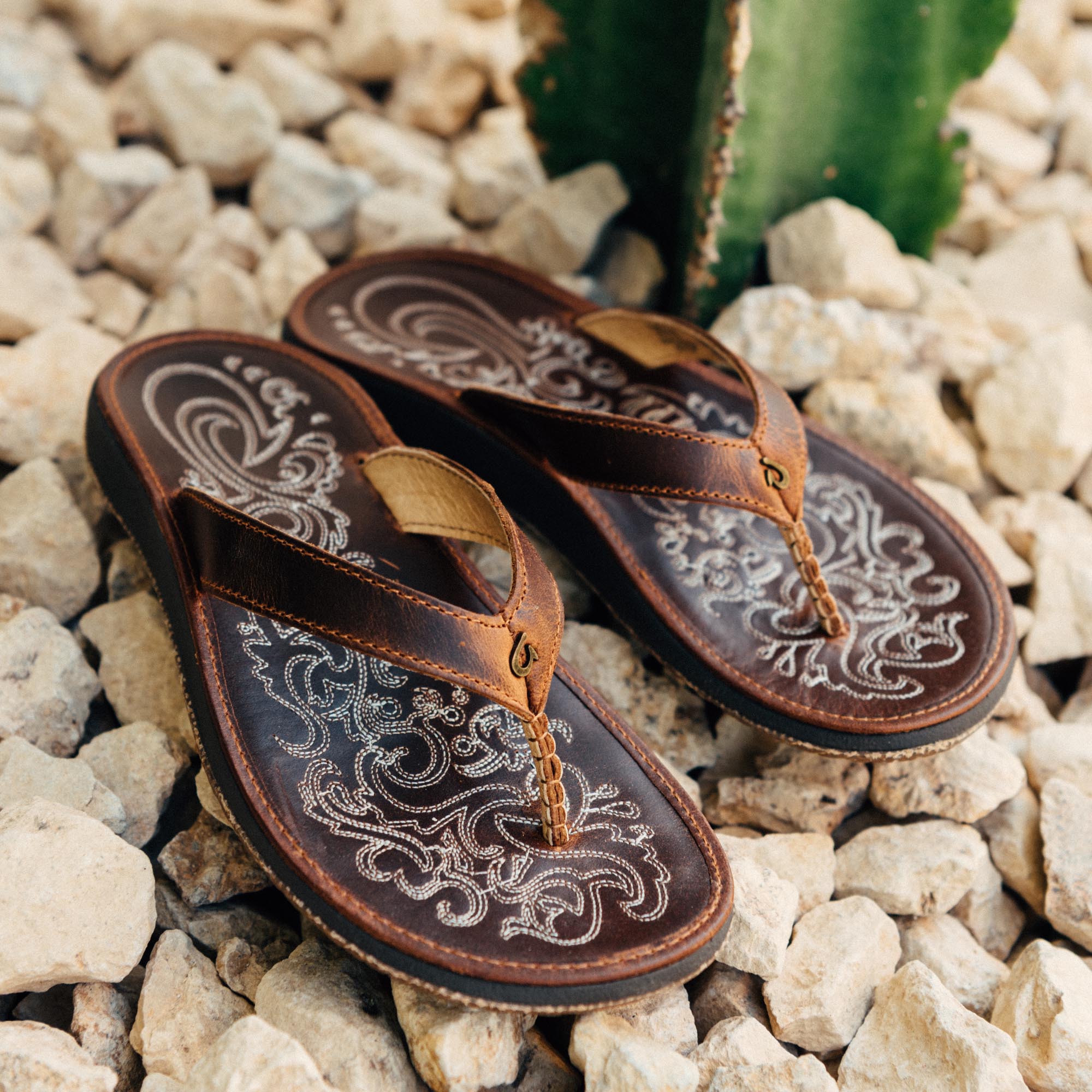 Alternativtext für ein Bild